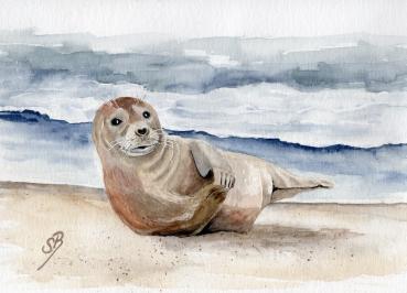 Postcard DIN-A5 little seal DK25